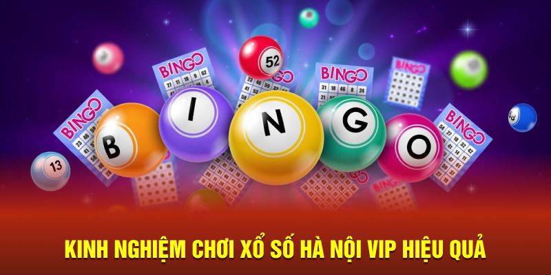 Kinh nghiệm chơi xổ số Hà Nội Vip bất bại